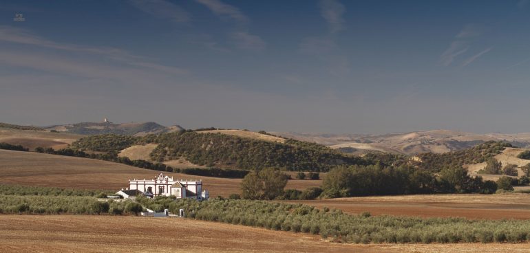 Thumbnail von Montellano Commercial Property ES133785