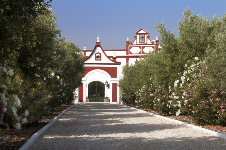 Thumbnail von Montellano Commercial Property ES133785