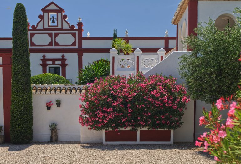 Thumbnail von Montellano Commercial Property ES133785