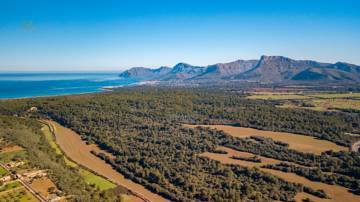 Thumbnail von Artà Country House ES132072