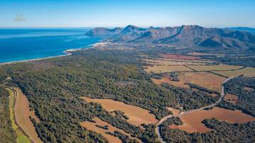 Thumbnail von Artà Country House ES132072