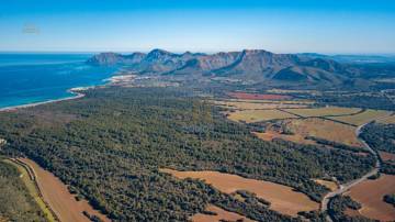 Thumbnail von Artà Country House ES132072