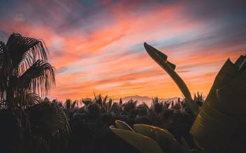 Thumbnail von Marbella Apartment ES131698