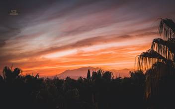 Thumbnail von Marbella Apartment ES131698