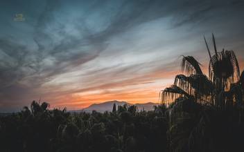 Thumbnail von Marbella Apartment ES131698