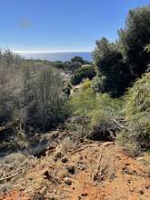 Thumbnail von Cabopino Commercial Property ES131562