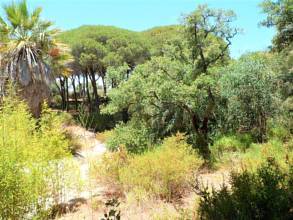 Thumbnail von Land For Sale in Las Chapas, Málaga