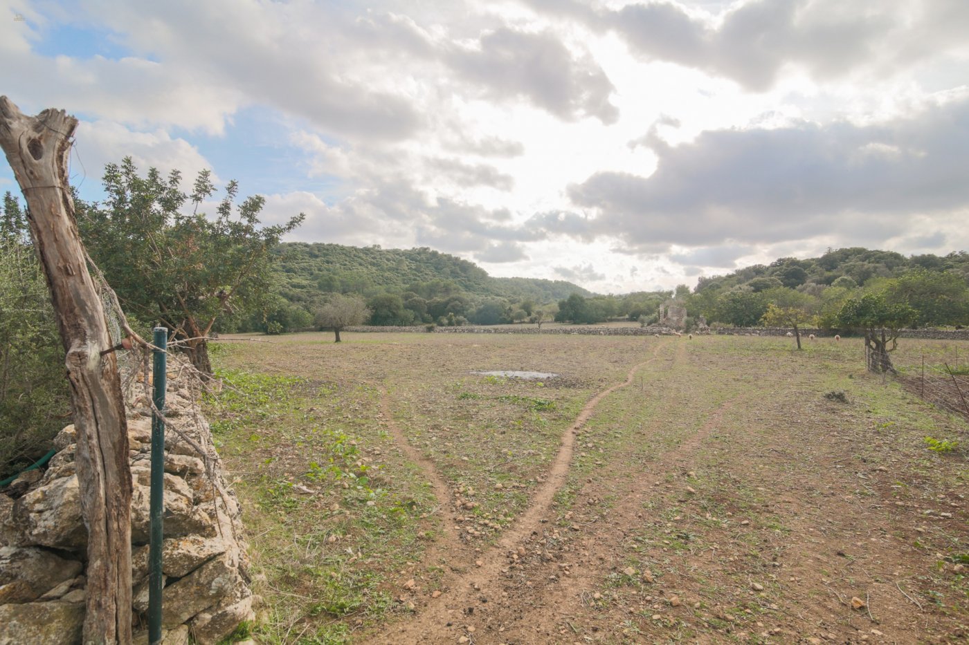 Thumbnail von Pollença Country House ES130783