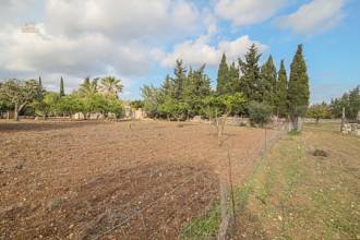 Thumbnail von Pollença Country House ES130783