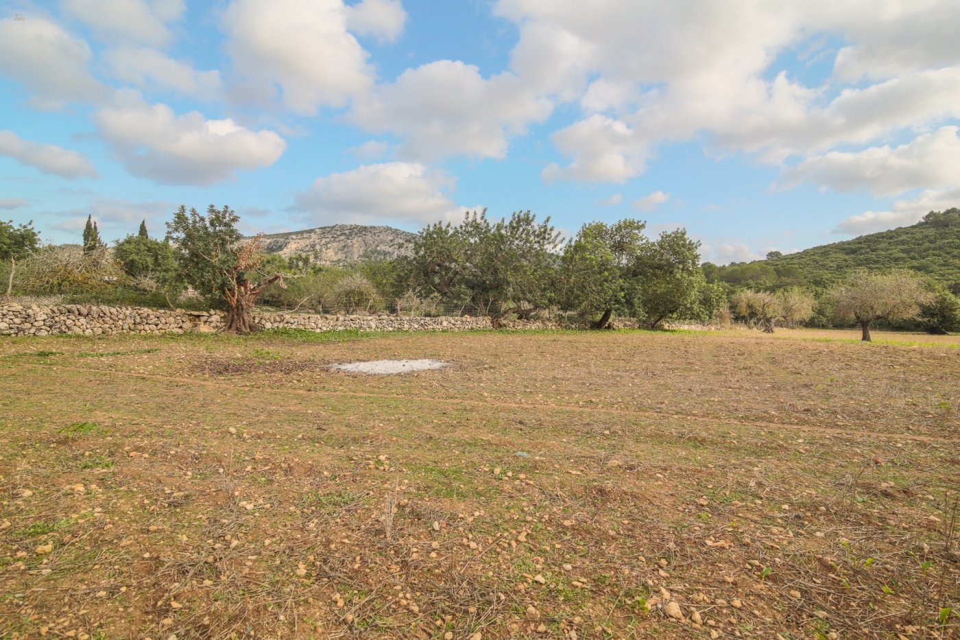 Thumbnail von Pollença Country House ES130783