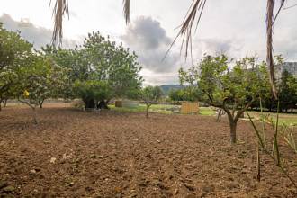 Thumbnail von Pollença Country House ES130783