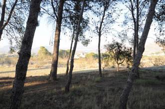 Thumbnail von Monóvar/Monóver Villa ES127447