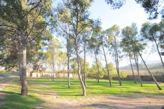 Thumbnail von Monóvar/Monóver Villa ES127447