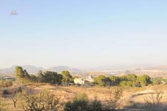 Thumbnail von Monóvar/Monóver Villa ES127447