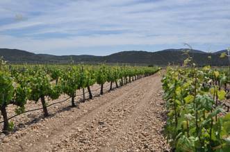 Thumbnail von Villena Villa ES127436