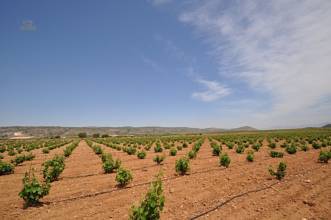 Thumbnail von Villena Villa ES127436