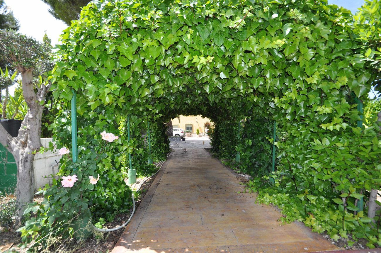 Thumbnail von Villena Villa ES127436