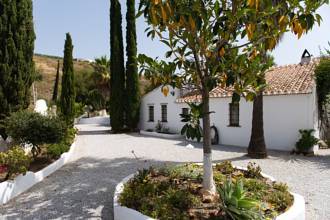 Thumbnail von Villa For Sale in Vélez-Málaga, Málaga