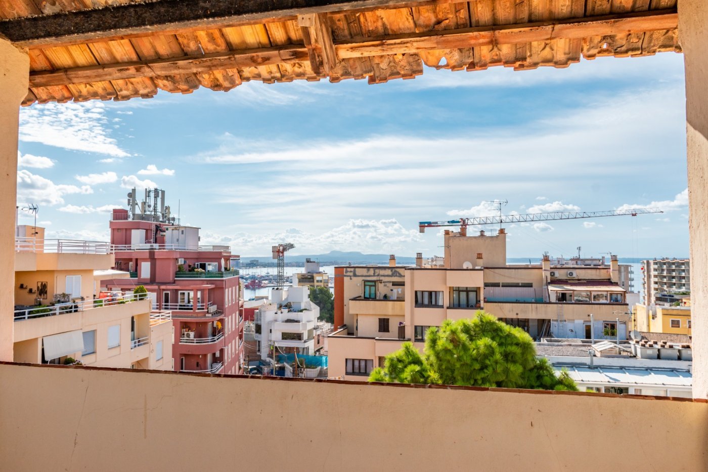 Thumbnail von Palma de Mallorca Villa ES124934