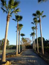 Thumbnail von Coín Villa ES124466