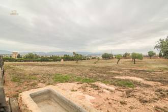 Thumbnail von Palma de Mallorca Villa ES122951