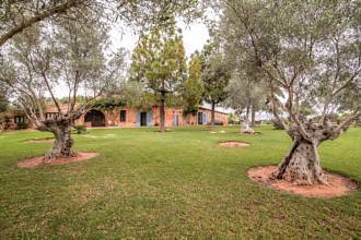 Thumbnail von Palma de Mallorca Villa ES122951