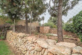 Thumbnail von Palma de Mallorca Villa ES122951