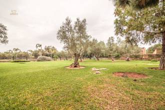 Thumbnail von Palma de Mallorca Villa ES122951