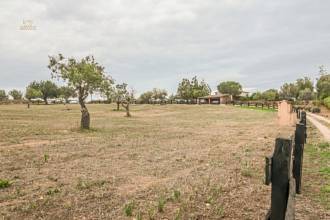 Thumbnail von Palma de Mallorca Villa ES122951