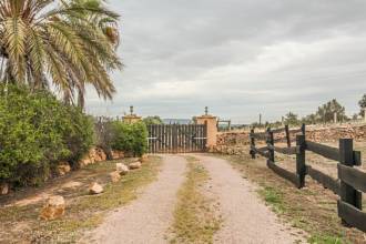 Thumbnail von Palma de Mallorca Villa ES122951