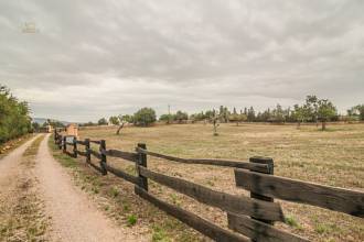 Thumbnail von Palma de Mallorca Villa ES122951