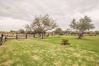 Thumbnail von Palma de Mallorca Villa ES122951