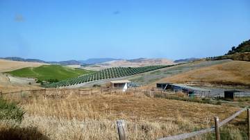 Thumbnail von Country For Sale in Setenil De Las Bodegas, Cádiz