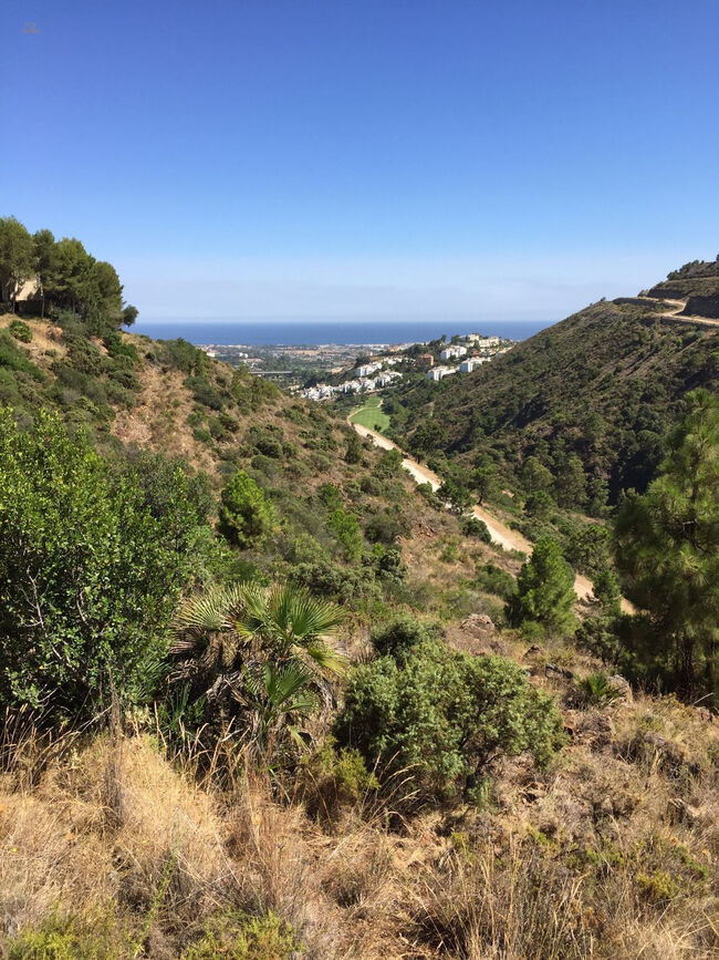 Thumbnail von Land For Sale in El Madroñal, Málaga