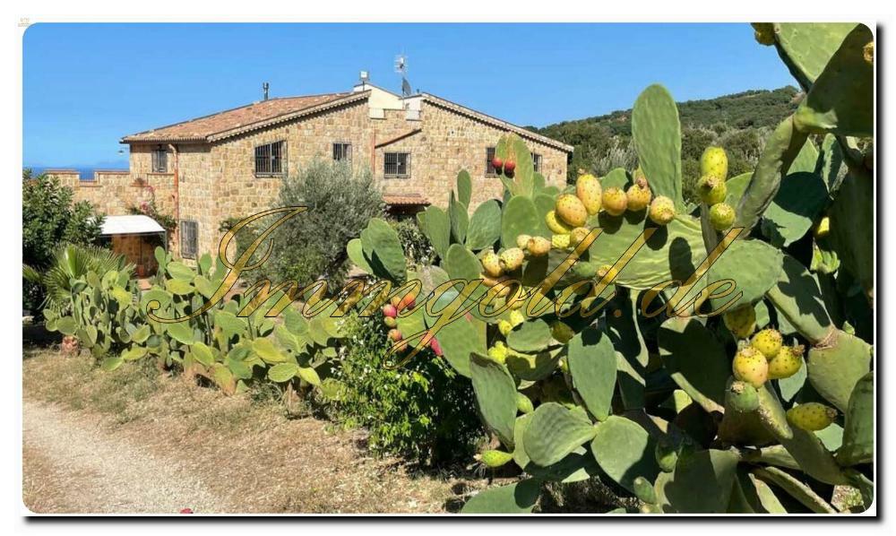 Thumbnail von Immogold Luxusvilla mit Meerblick mit zwei Hektar Land