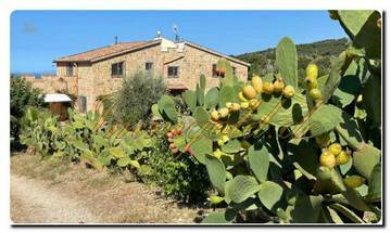 Thumbnail von Immogold Luxusvilla mit Meerblick mit zwei Hektar Land