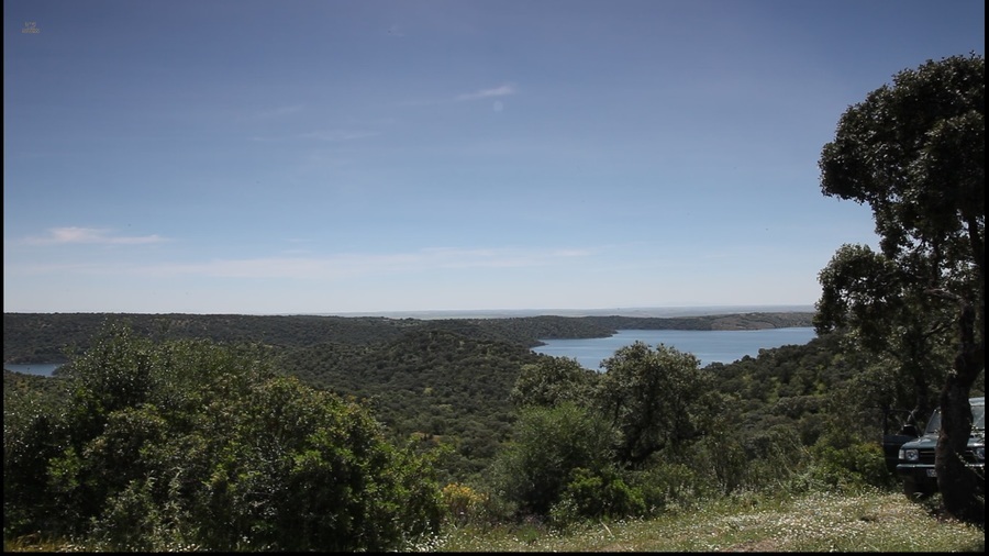 Thumbnail von Almodovar del Rio Finca ES21938