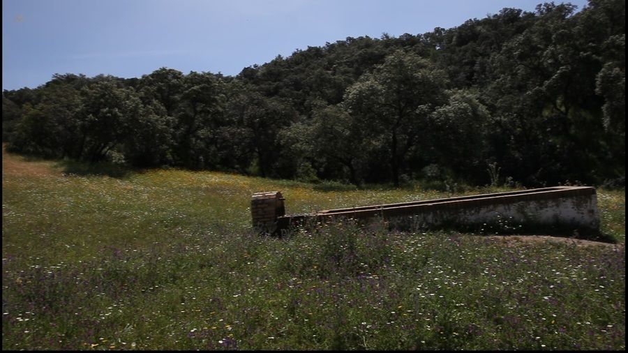 Thumbnail von Almodovar del Rio Finca ES21938