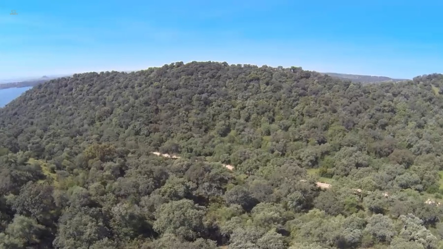 Thumbnail von Almodovar del Rio Finca ES21938