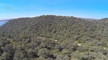 Thumbnail von Almodovar del Rio Finca ES21938