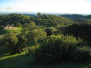 Thumbnail von Almodovar del Rio Finca ES21938