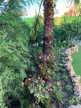 Thumbnail von Puerto Banús Villa ES136102