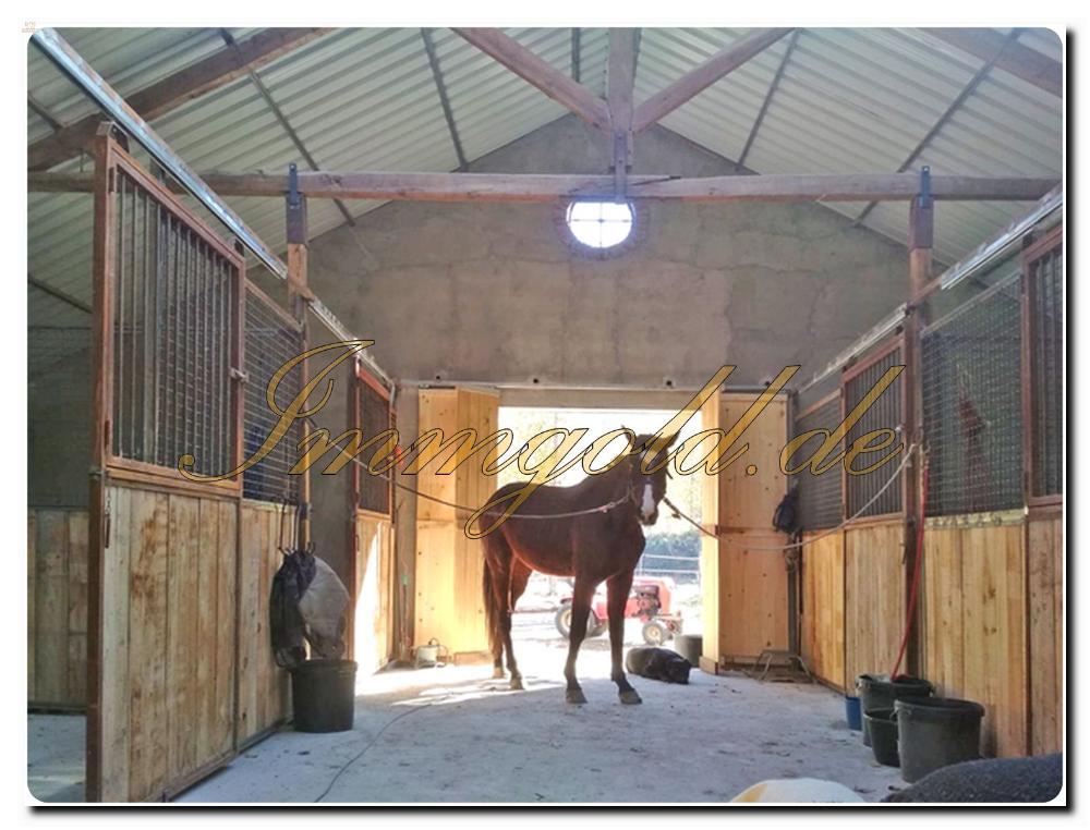 Thumbnail von Immogold Finca mit Wohnhaus, Pool und schönem Pferdestall in toller Lage