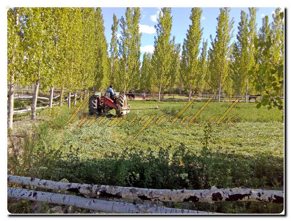 Thumbnail von Immogold Finca mit Wohnhaus, Pool und schönem Pferdestall in toller Lage