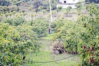 Thumbnail von Luxus-Villa in Estepona R2810702