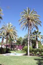 Thumbnail von Nueva Andalucía Villa ES115270