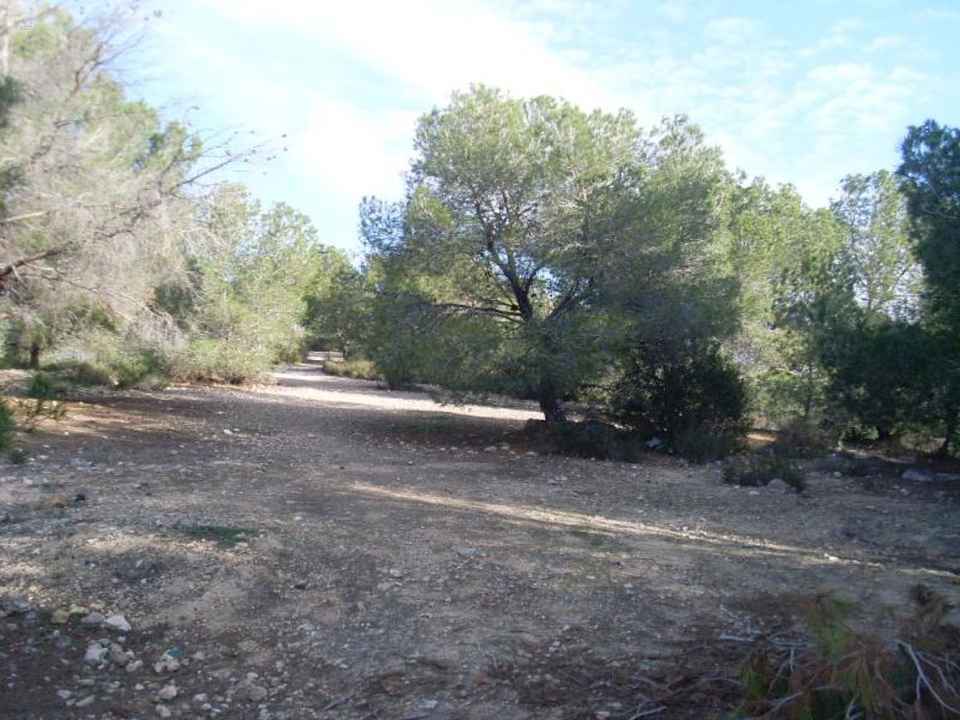  San Miguel De Salinas Land ES115832