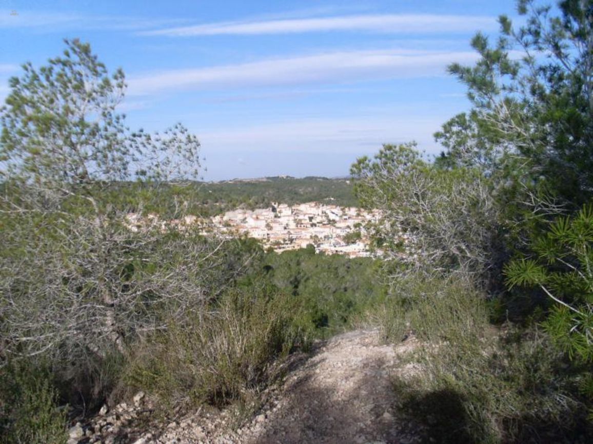 Thumbnail von San Miguel De Salinas Land ES115832