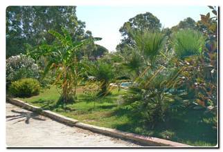 Thumbnail von Immogold Haus mit Pferdestall und Pool