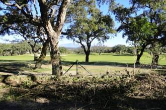 Thumbnail von Luxus-Villa in San Roque R2839370